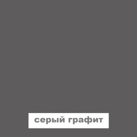 Современная мебель Шкаф для одежды Распашной 3 дверный с полками в Прихожую, Спальню, Комнату, Коридор ШР-3/3 ЛДСП графит, купить недорого в фирменном салоне магазине «Моя Мебель», всего за 24 940 руб.
